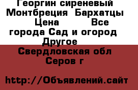 Георгин сиреневый. Монтбреция. Бархатцы.  › Цена ­ 100 - Все города Сад и огород » Другое   . Свердловская обл.,Серов г.